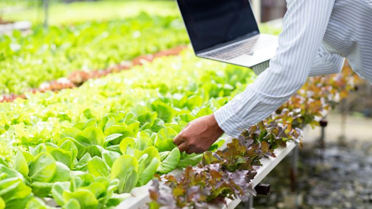 Agriculture and Food Security