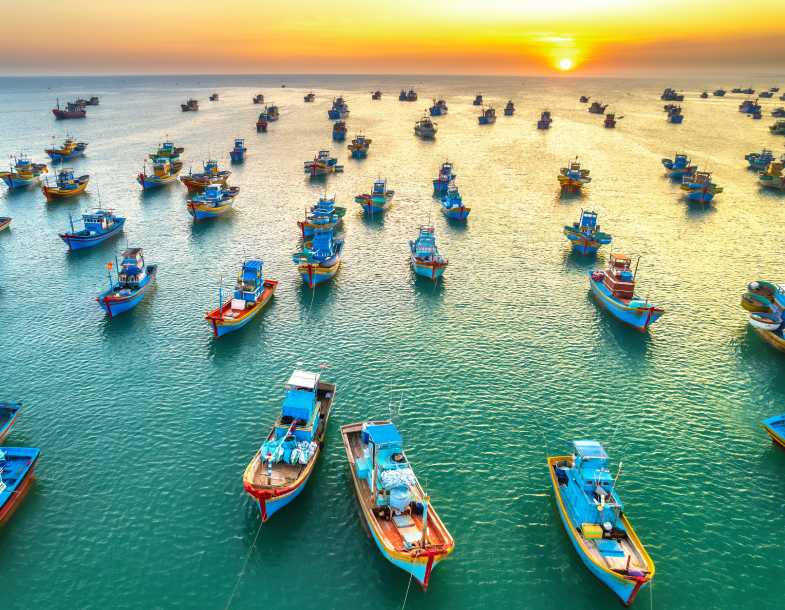 Marine Fisheries