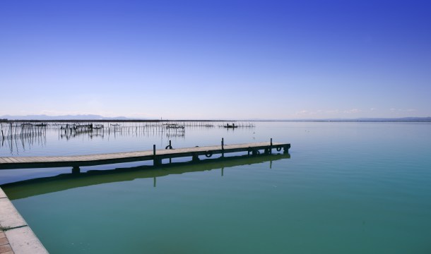 fisheries and aquaculture development